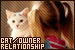 Relationships: Cat/Owner