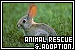 Animal Rescue & Adoption Groups