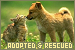 Animals: Adopted and Rescued