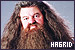 Harry Potter: Hagrid, Rubeus