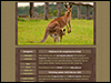 Kangaroos fanlisting